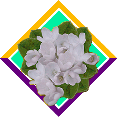 Mayflower icon picture